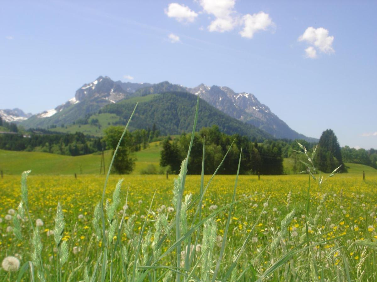 Bio-Bauernhof Bachangerhof Kossen Luaran gambar