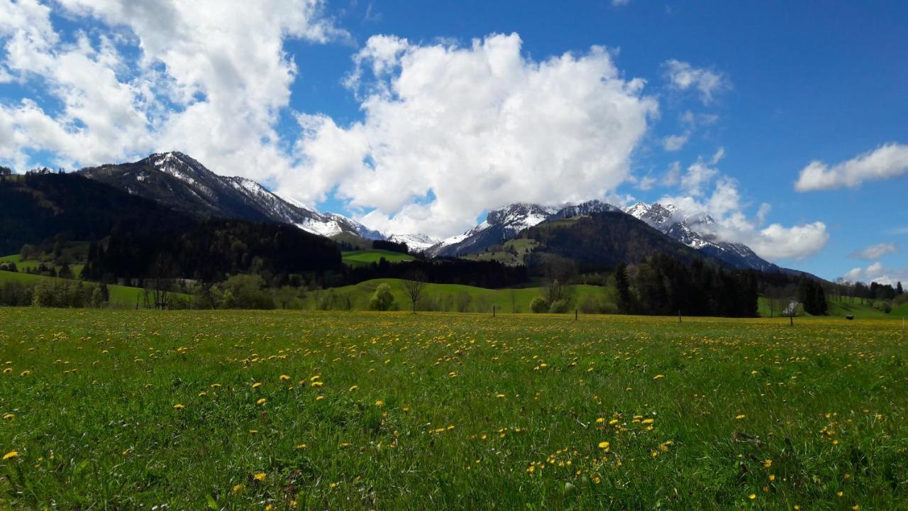 Bio-Bauernhof Bachangerhof Kossen Luaran gambar