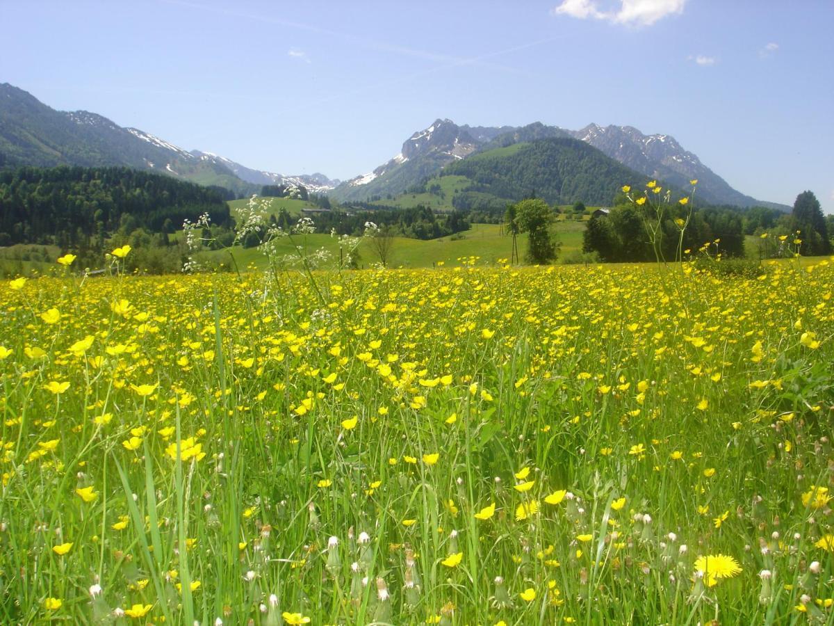 Bio-Bauernhof Bachangerhof Kossen Luaran gambar