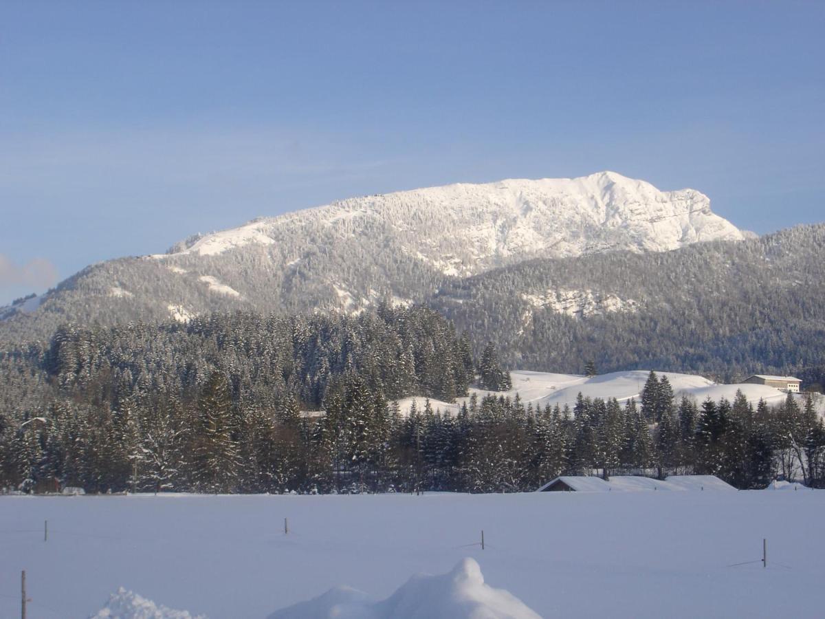 Bio-Bauernhof Bachangerhof Kossen Luaran gambar
