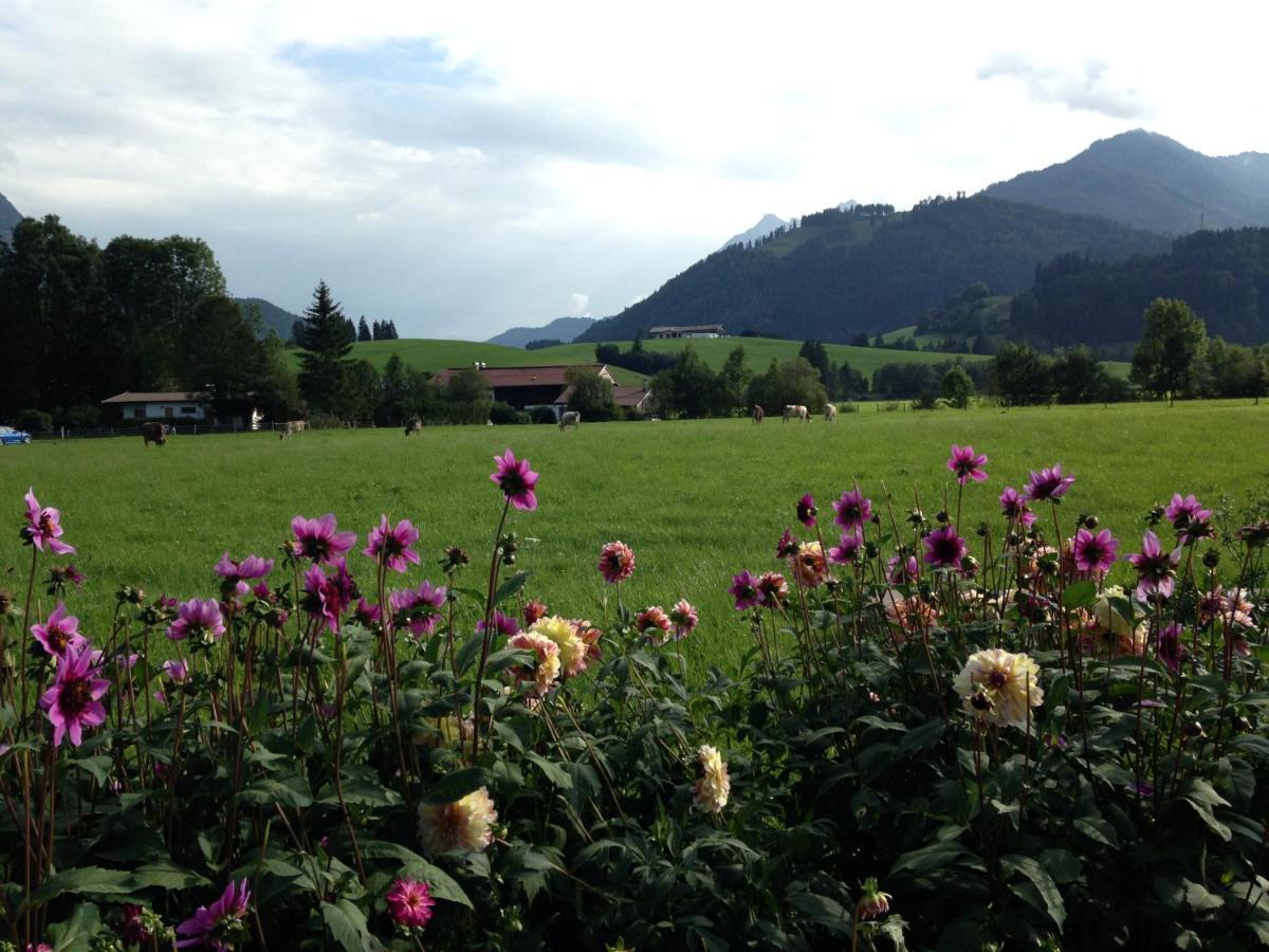 Bio-Bauernhof Bachangerhof Kossen Luaran gambar