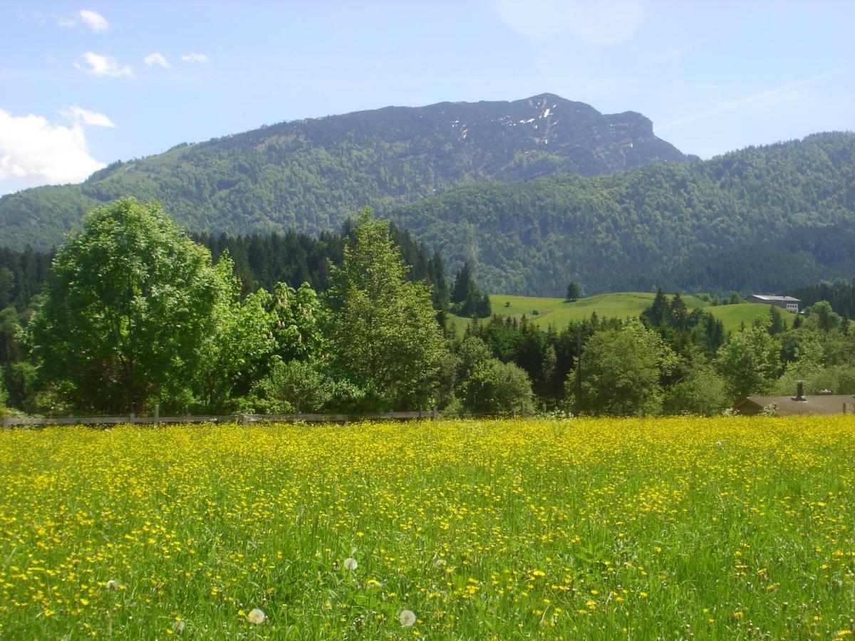 Bio-Bauernhof Bachangerhof Kossen Luaran gambar