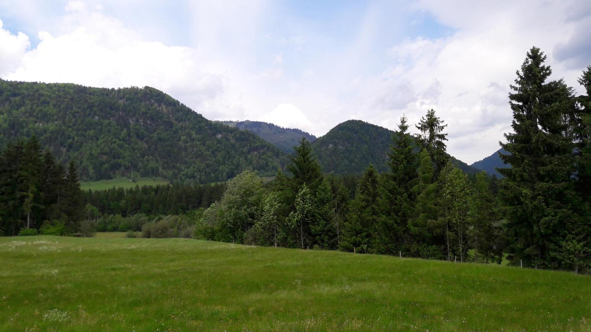 Bio-Bauernhof Bachangerhof Kossen Luaran gambar