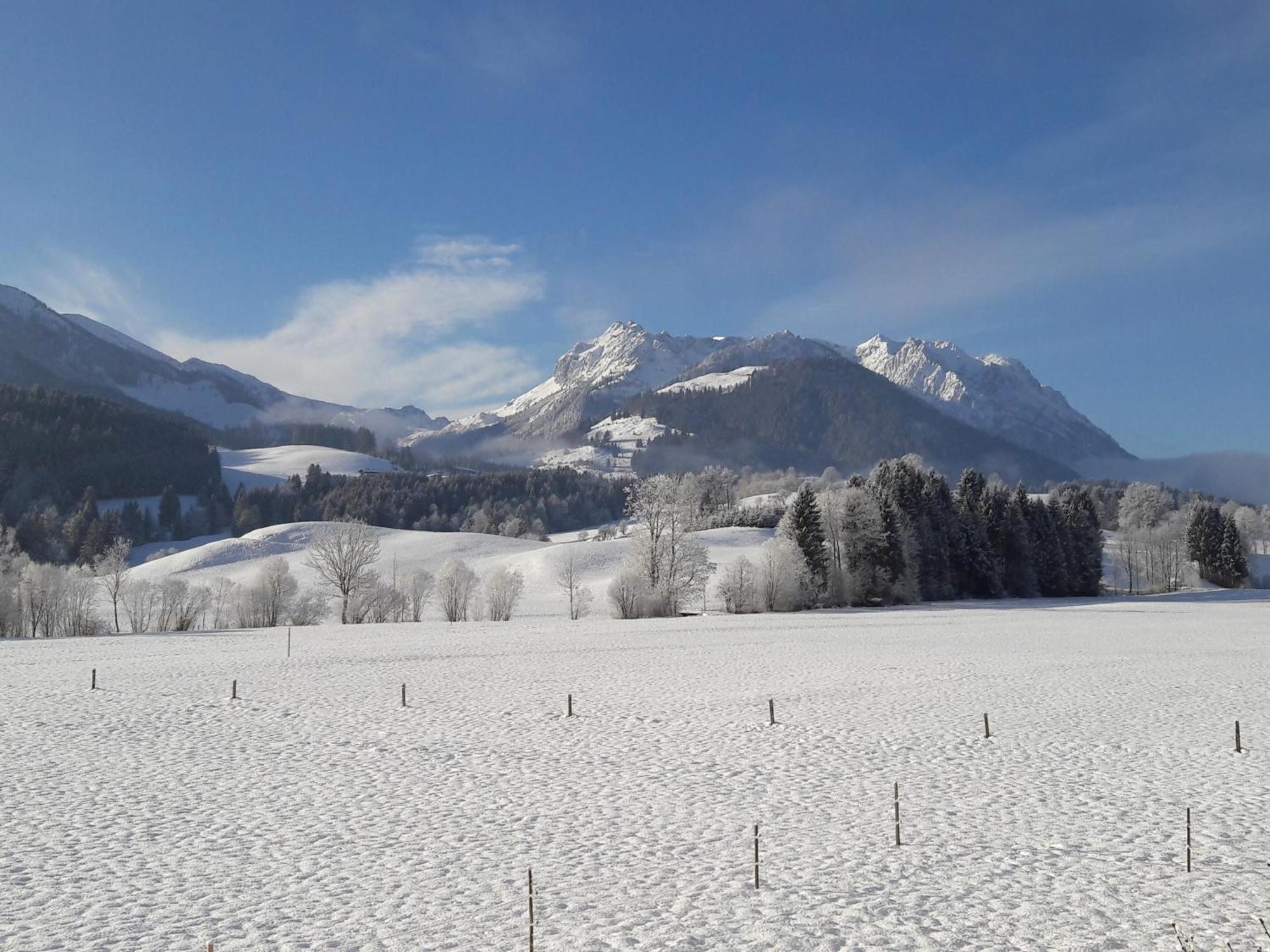 Bio-Bauernhof Bachangerhof Kossen Luaran gambar