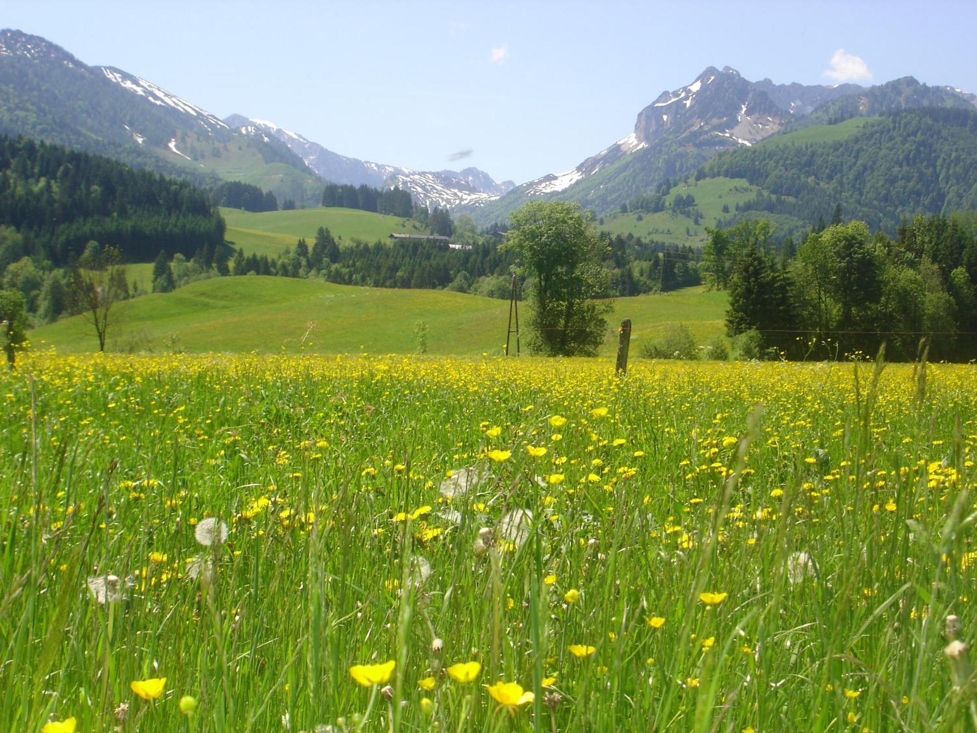 Bio-Bauernhof Bachangerhof Kossen Luaran gambar